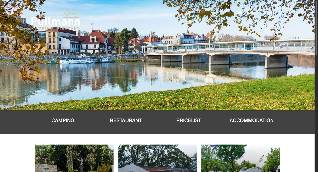 Website Design and Development